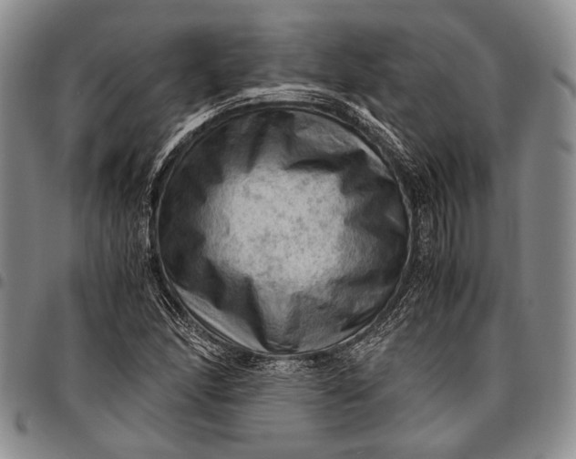 X0000096641166200802191213