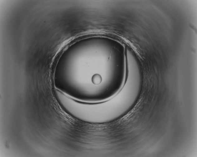 X0000096641168200802191213