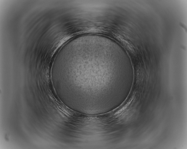 X0000096641170200802191213