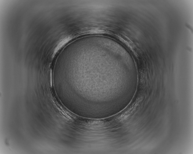 X0000096641171200802191213