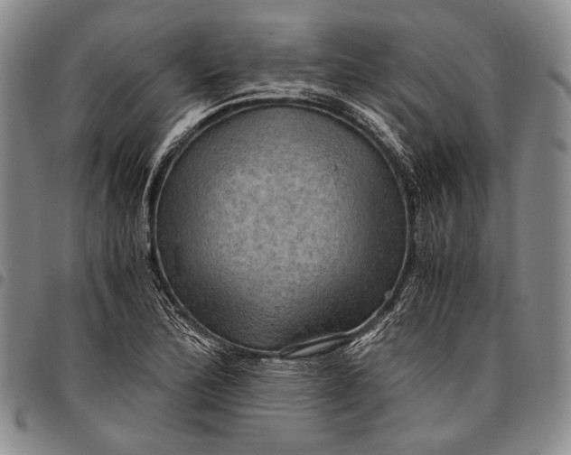 X0000096641172200802191213