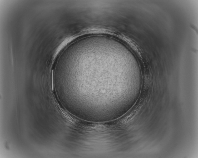 X0000096641175200802191213