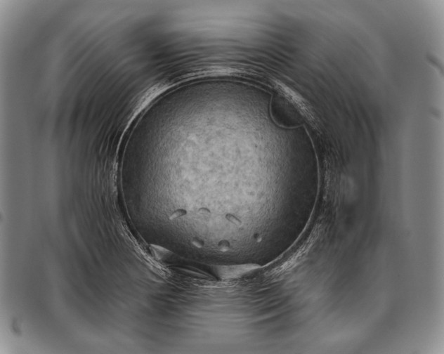 X0000096641178200802191213