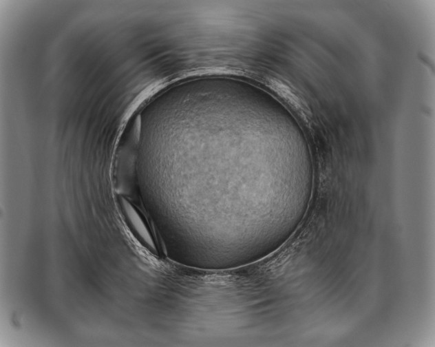 X0000096641181200802191213