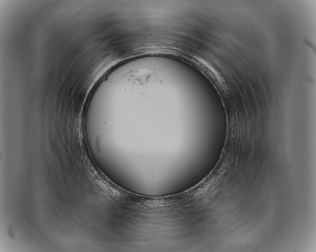 X0000096641182200802191213