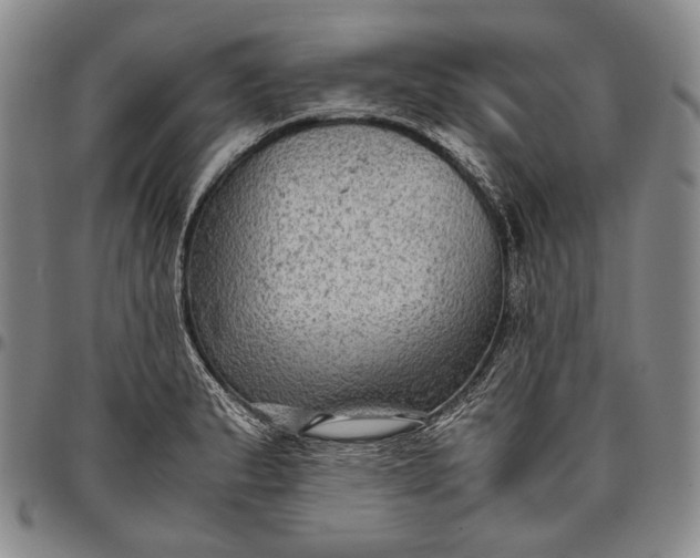 X0000096641183200802191213