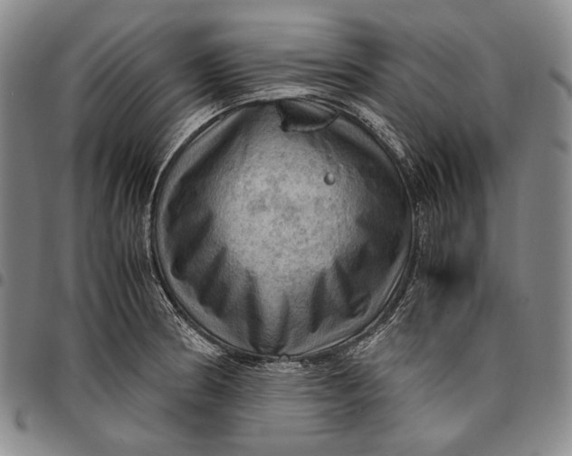 X0000096641186200802191213