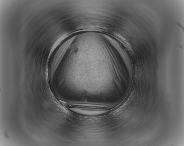 X0000096641188200802191212