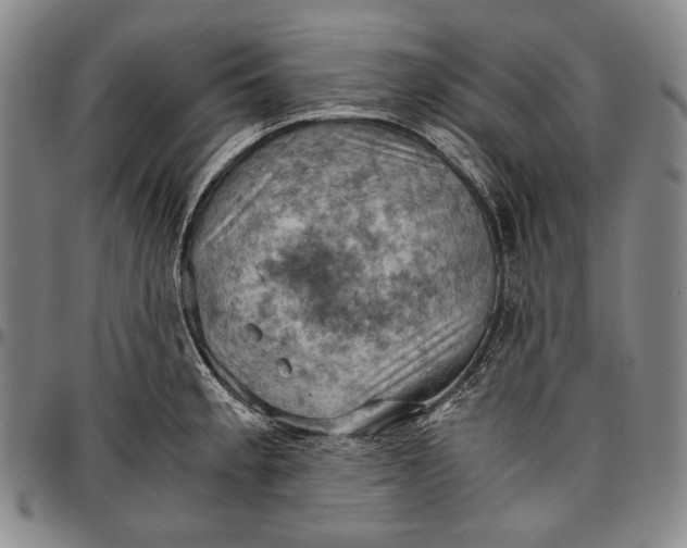 X0000096641189200802191212