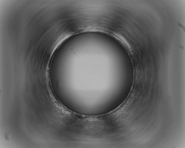 X0000096641190200802191212