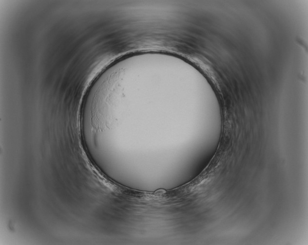 X0000096641191200802191212