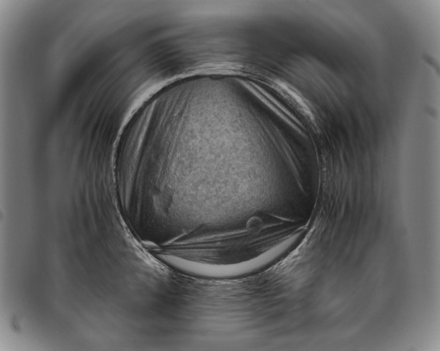 X0000096641192200802191212