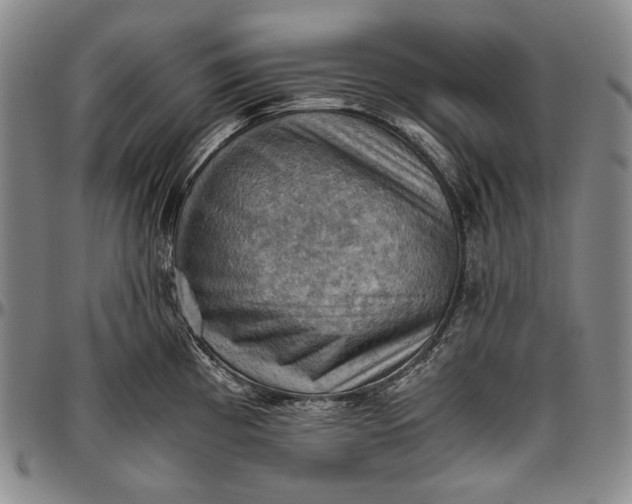 X0000096641193200802191212