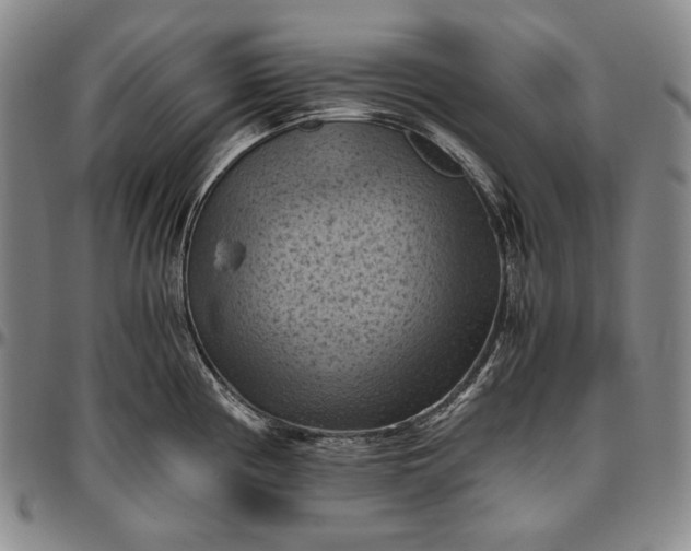 X0000096641194200802191212