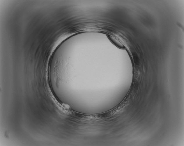 X0000096641195200802191212