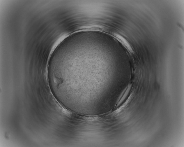 X0000096641196200802191212