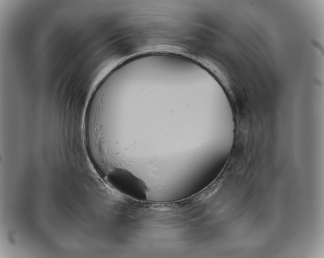 X0000096641199200802191212