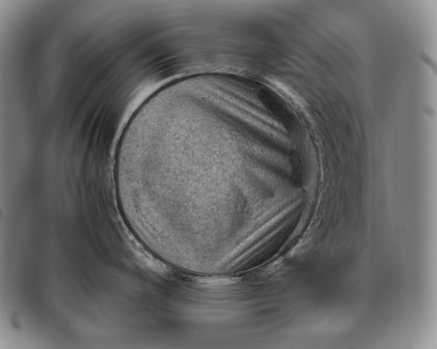 X0000096641200200802191212