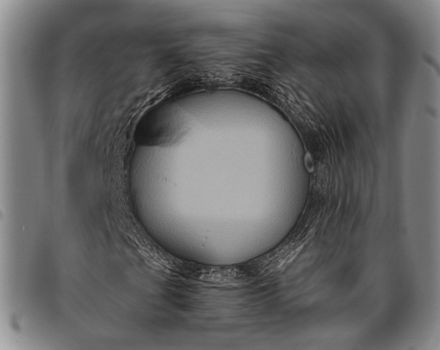 X0000096641201200802191212