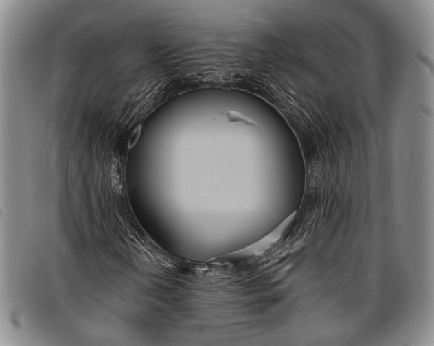 X0000096641202200802191212