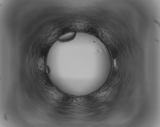 X0000096641203200802191212