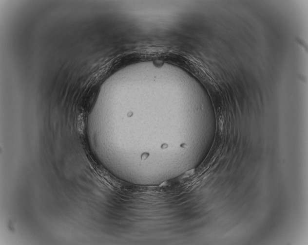 X0000096641204200802191212