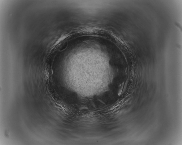 X0000096641206200802191212