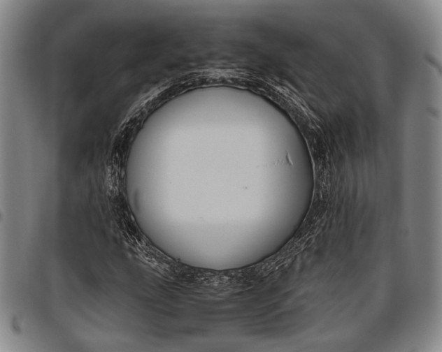 X0000096641207200802191212