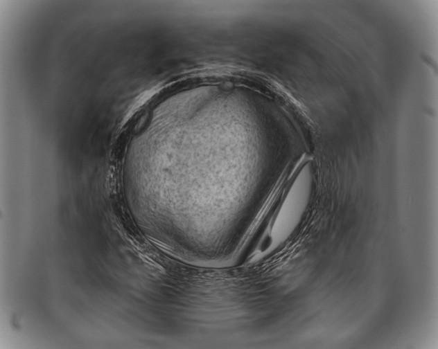 X0000096641208200802191212