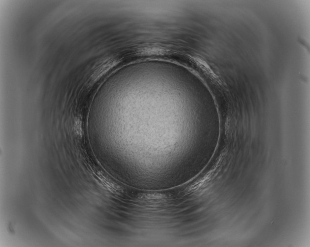 X0000096641209200802191212