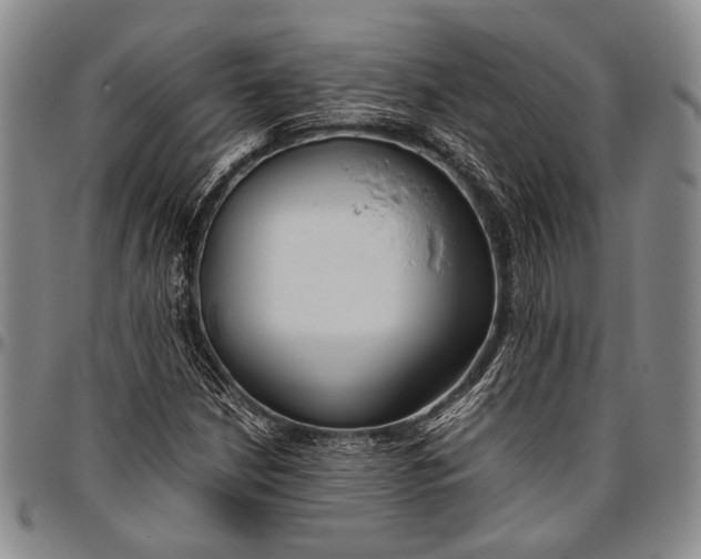 X0000096641210200802191212