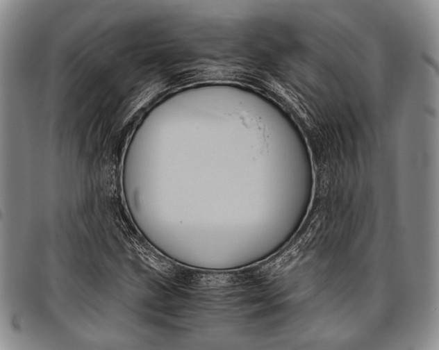 X0000096641211200802191212