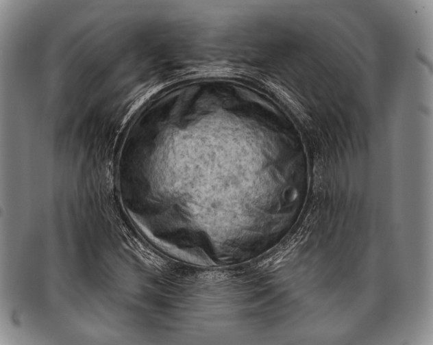 X0000096641212200802191212