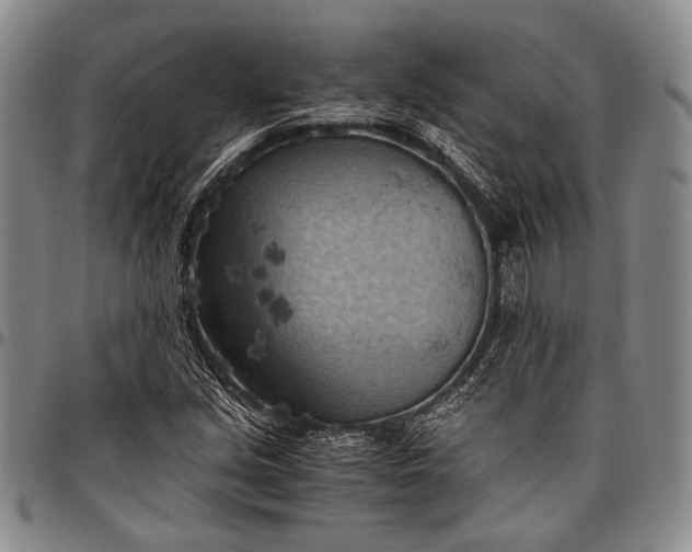 X0000096641213200802191212