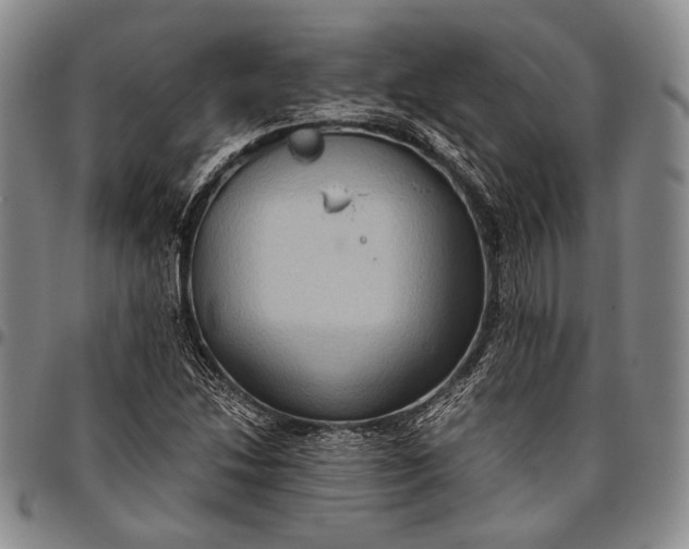 X0000096641214200802191212