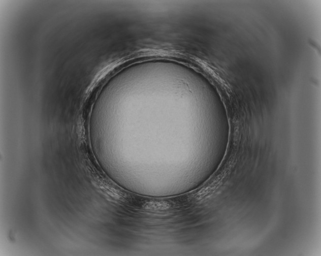 X0000096641215200802191212