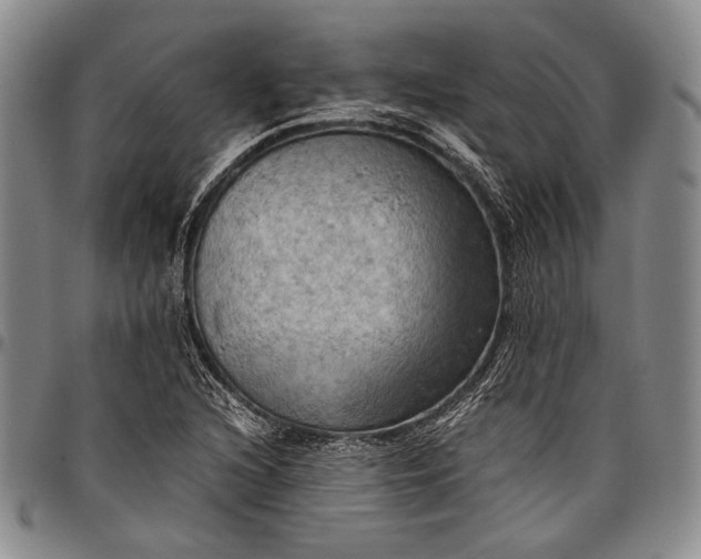 X0000096641216200802191212