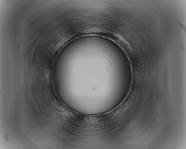 X0000096641217200802191212