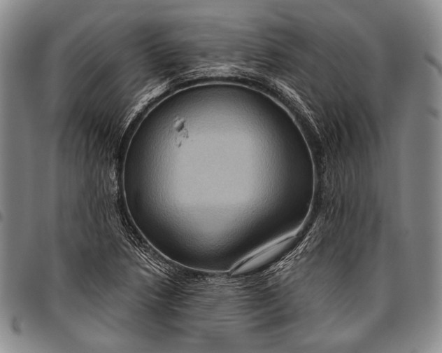 X0000096641218200802191212