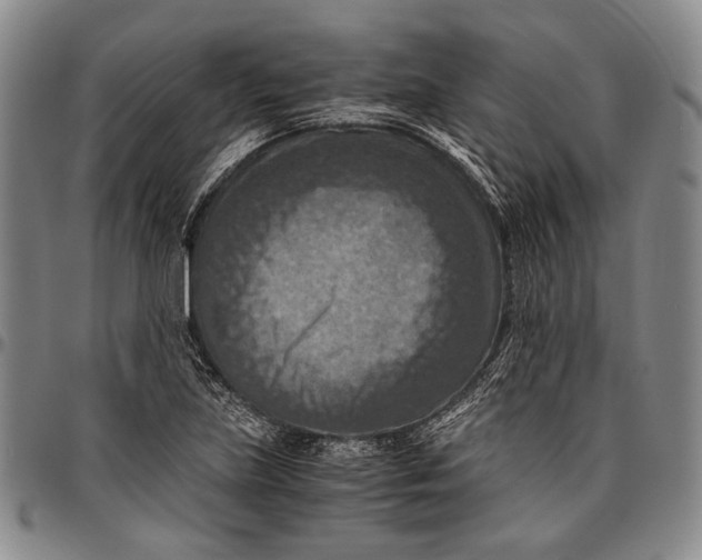 X0000096641219200802191212