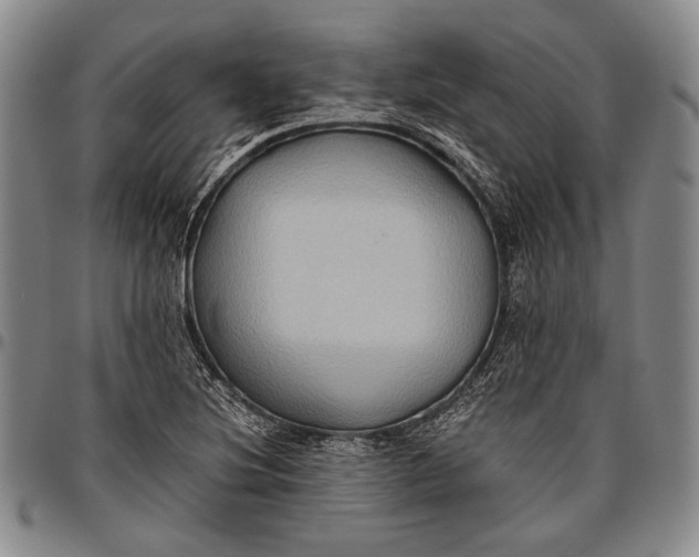 X0000096641220200802191212