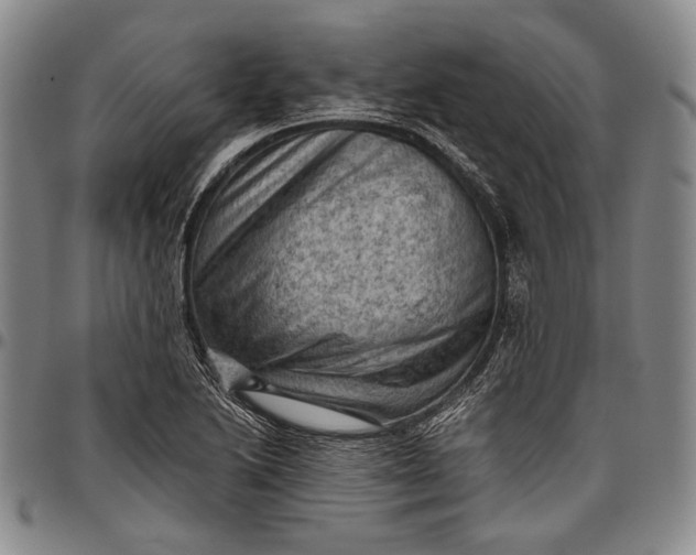 X0000096641222200802191212