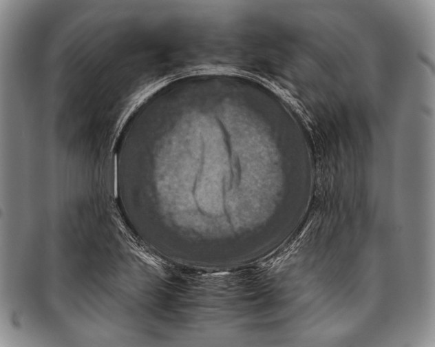 X0000096641223200802191212