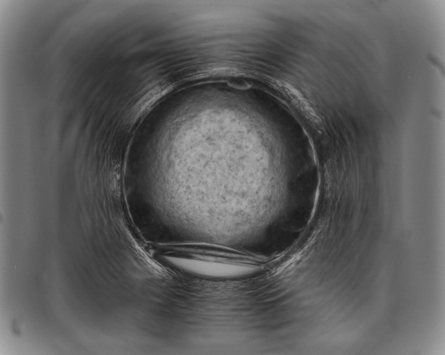 X0000096641225200802191212