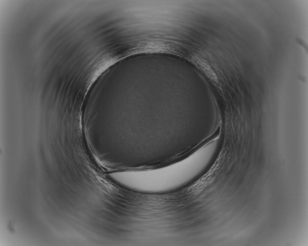 X0000096641226200802191212