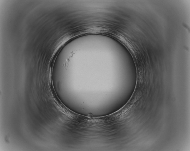 X0000096641227200802191212