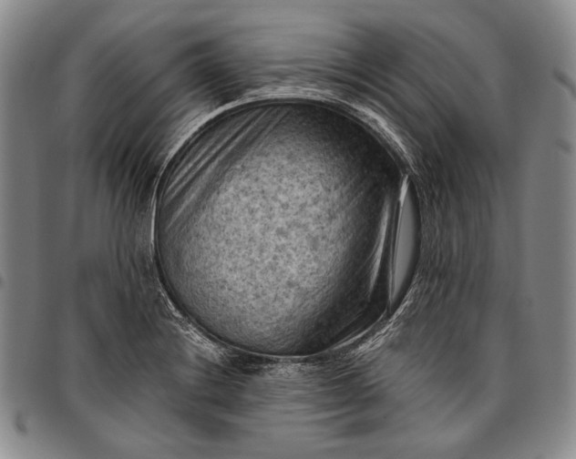 X0000096641228200802191212