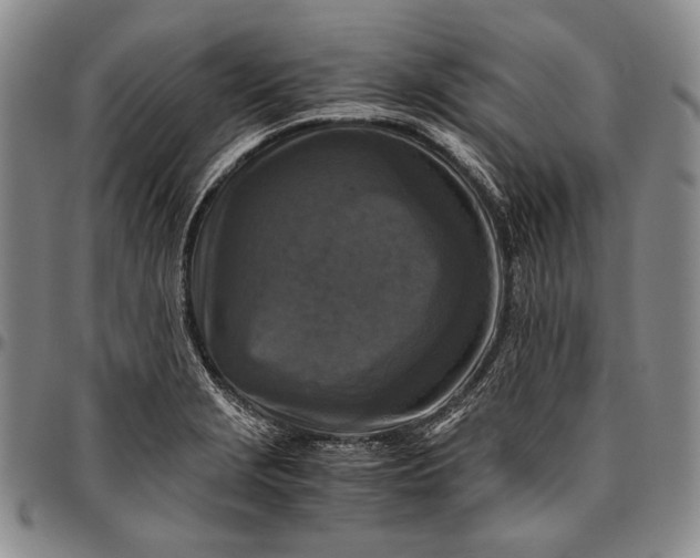 X0000096641229200802191212