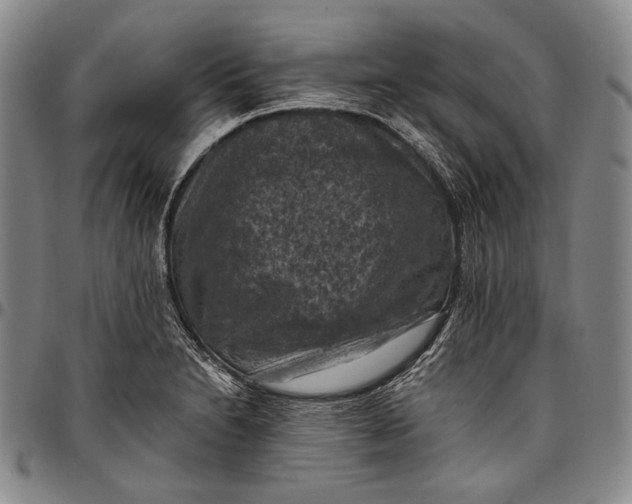 X0000096641230200802191212