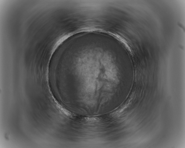 X0000096641231200802191212